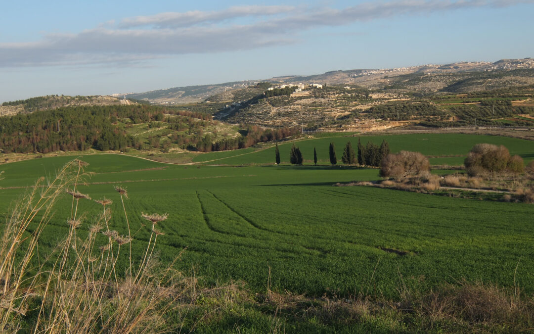 The Valley of Elah: Site of a Famous Showdown