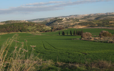 The Valley of Elah: Site of a Famous Showdown